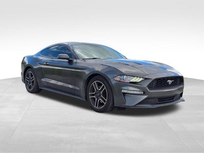 2019 Ford Mustang EcoBoost