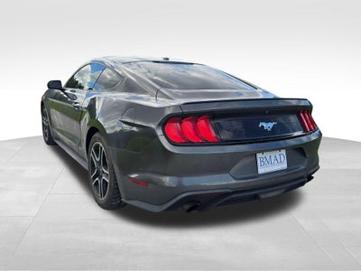 2019 Ford Mustang EcoBoost