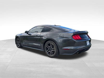 2019 Ford Mustang EcoBoost