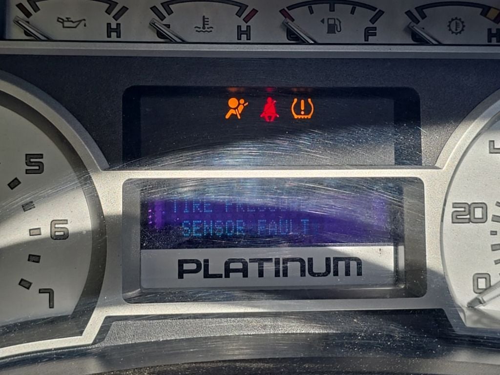 2010 Ford F-150 Platinum