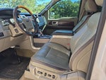 2010 Ford F-150 Platinum