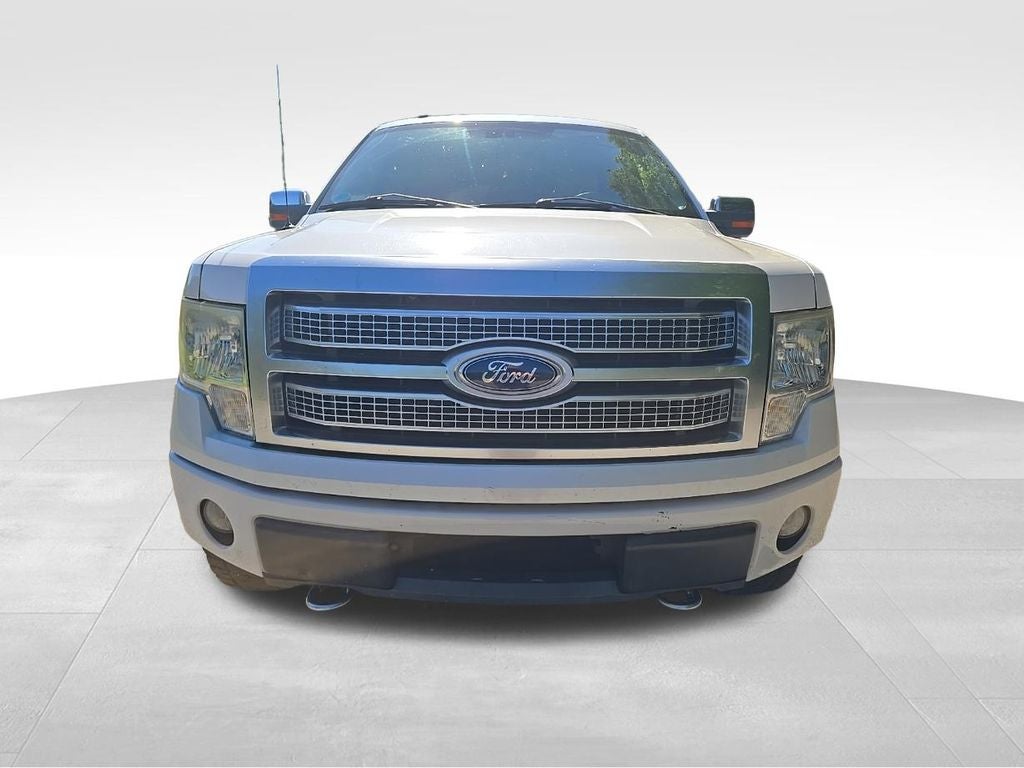 2010 Ford F-150 Platinum